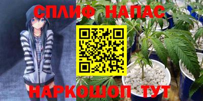 стафф Заволжье