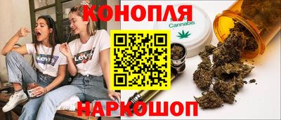 гашик Жуковский
