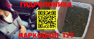 стафф Заволжье